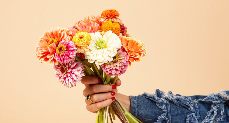 Cut Flowers