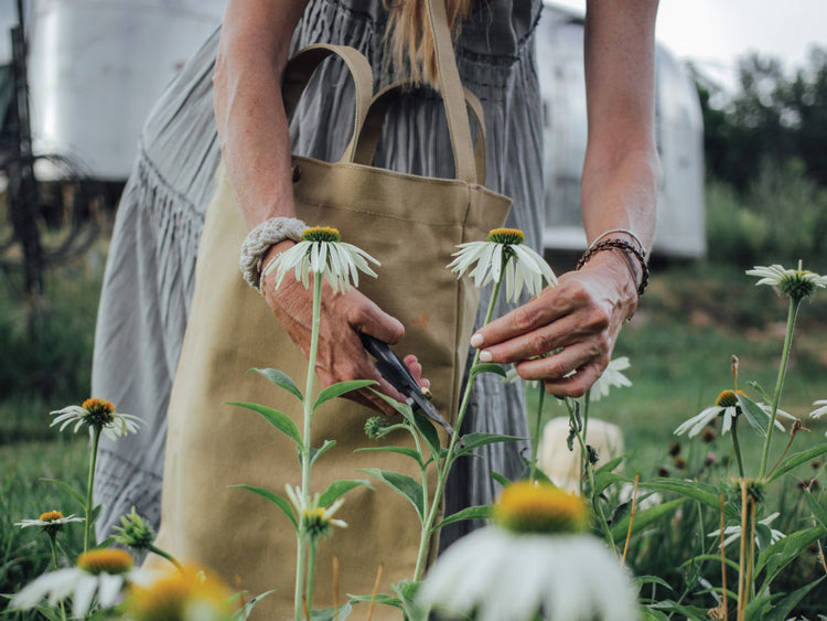 Perennials