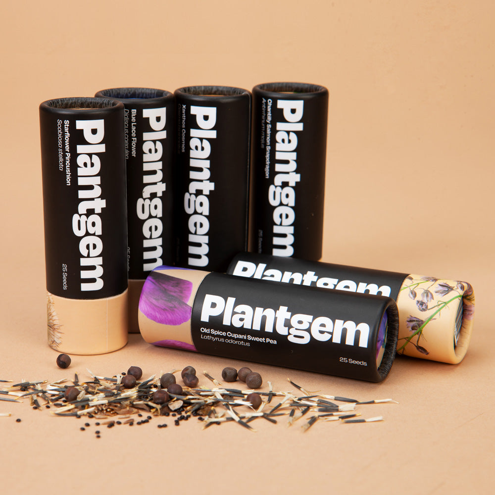 Cut Flower Garden In a Box