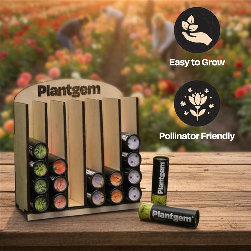 Seed Tube Display 36 Count