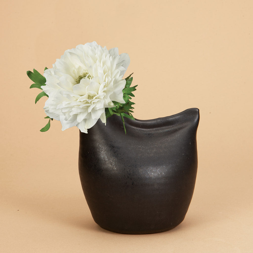 Anemone Levante Bianco Corms