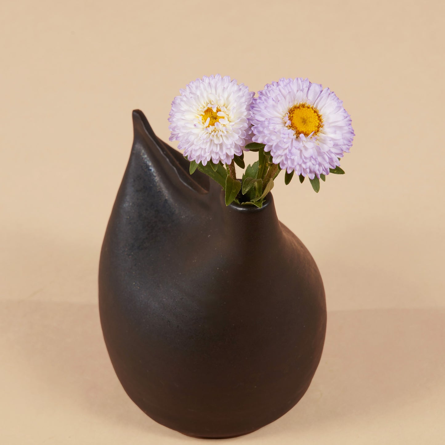 Cut Flower Garden In a Box