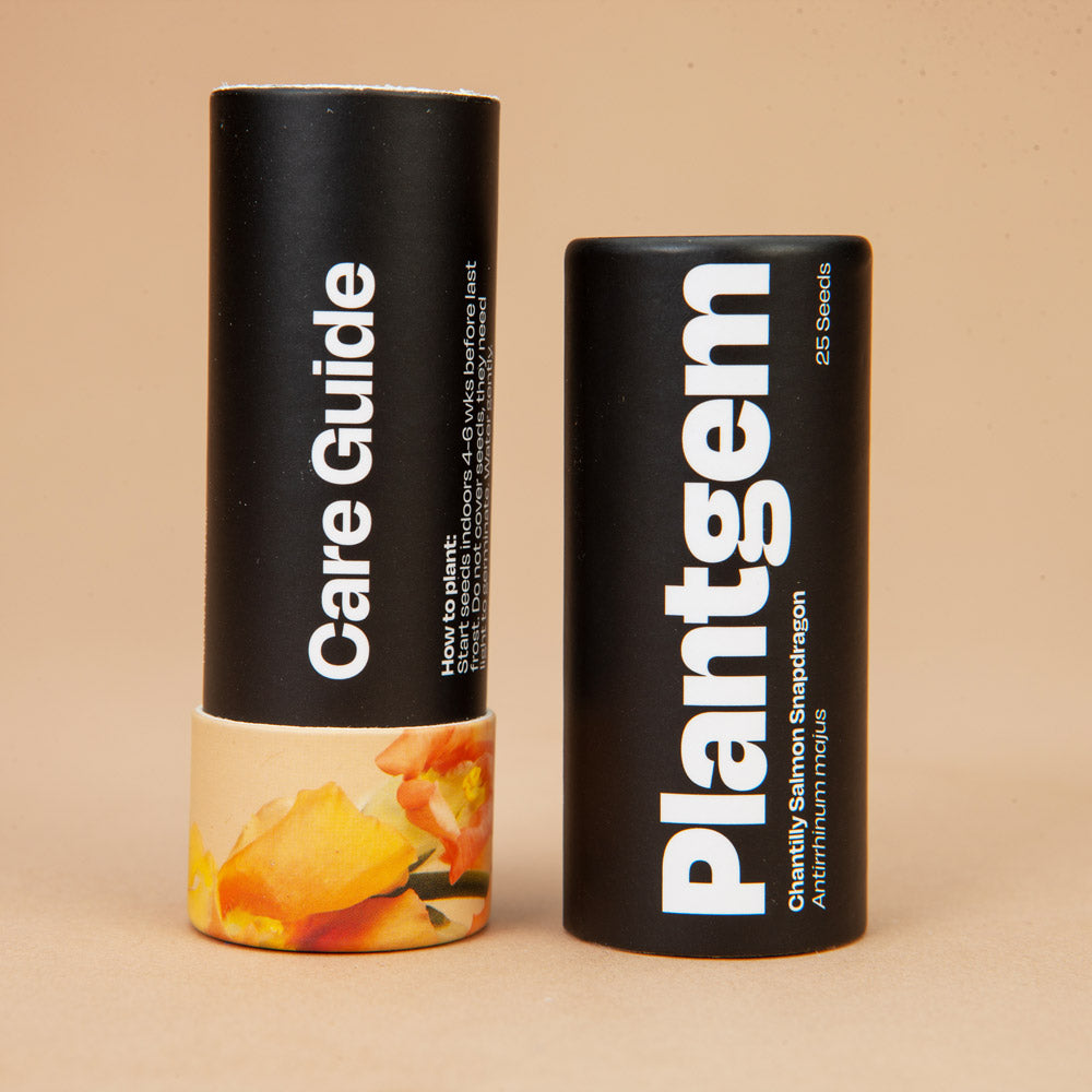 Cut Flower Garden In a Box