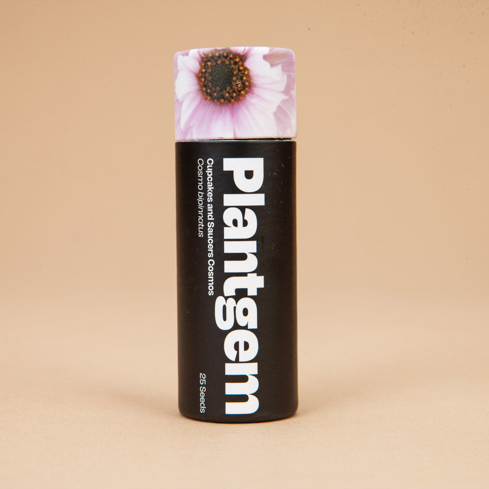 Cut Flower Garden In a Box