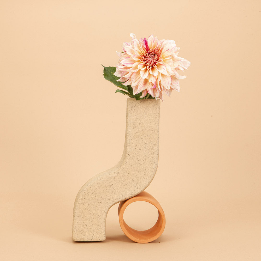 Café au Lait Twist Dahlia