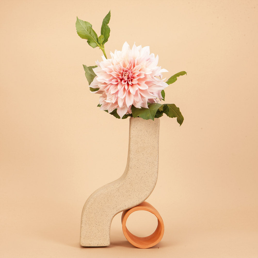 Café Au Lait Dahlia