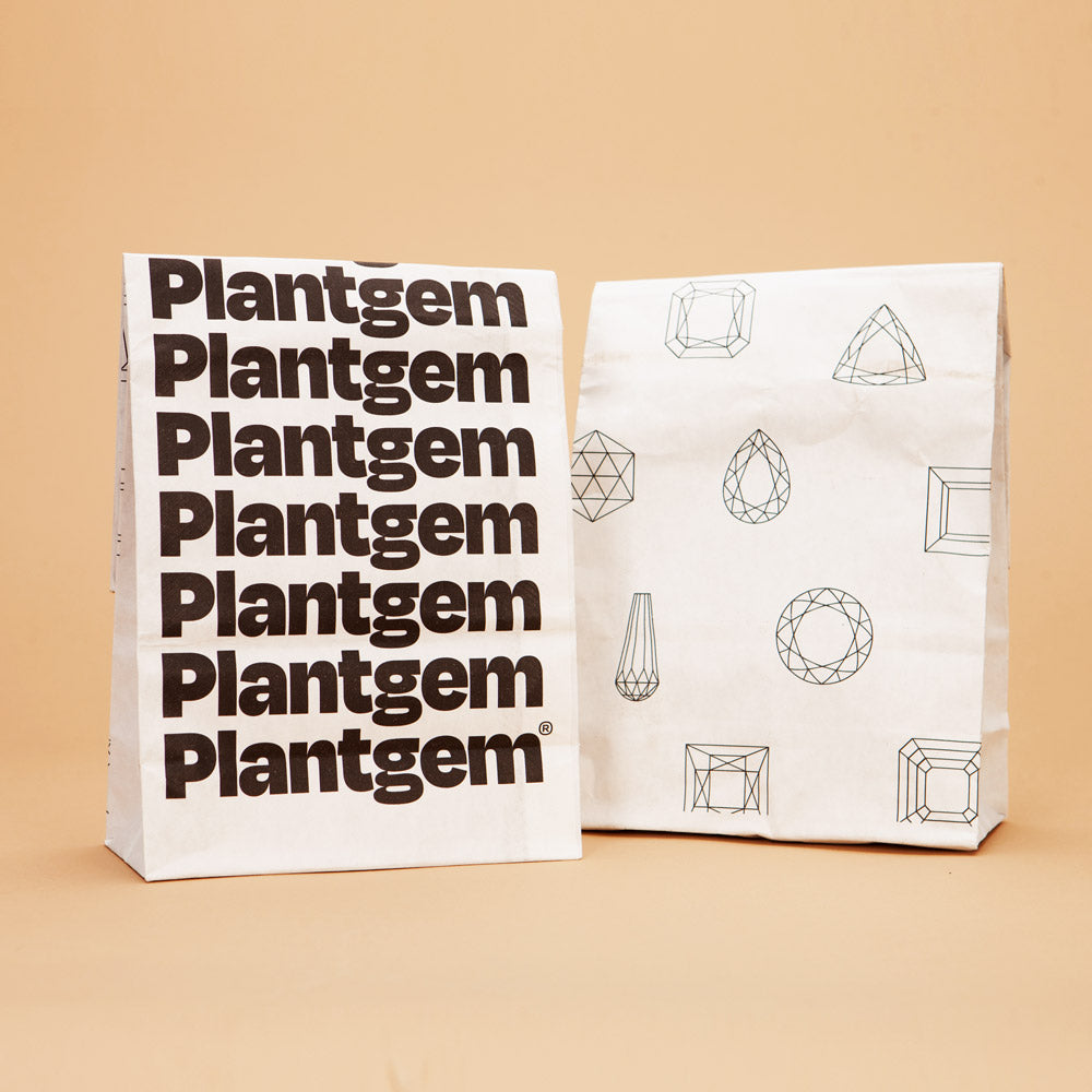 Cornel Bronze Dahlia