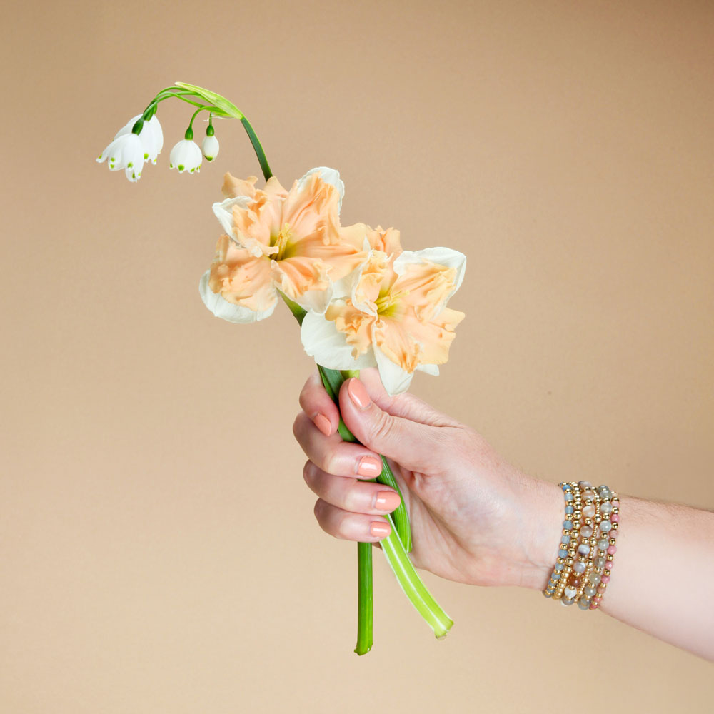 Delnashaugh Daffodil Bulbs