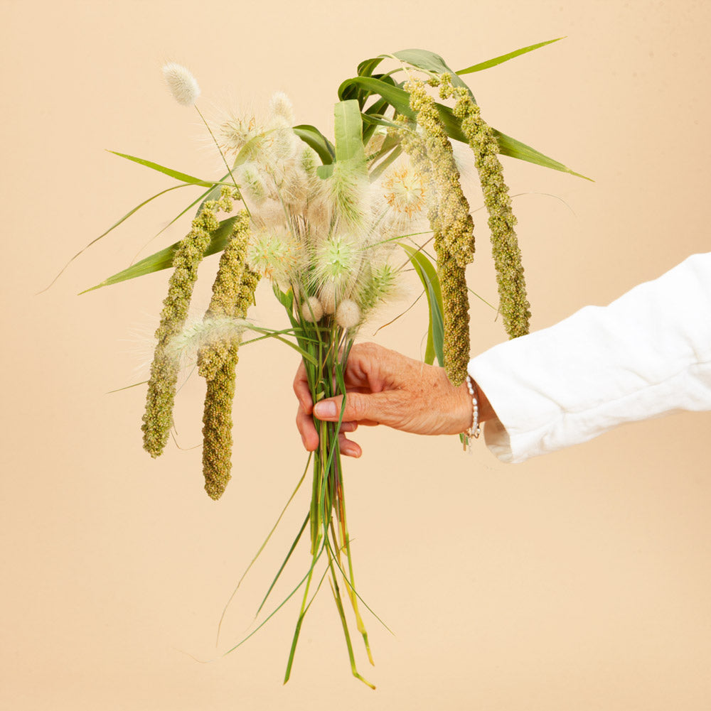 grass flower seed mix Grassy Mix Seed Bundle