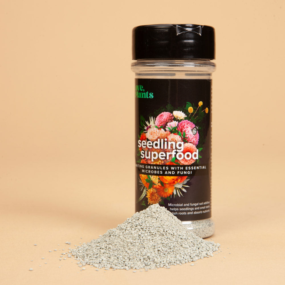 Love, Plants Seedling Super Food