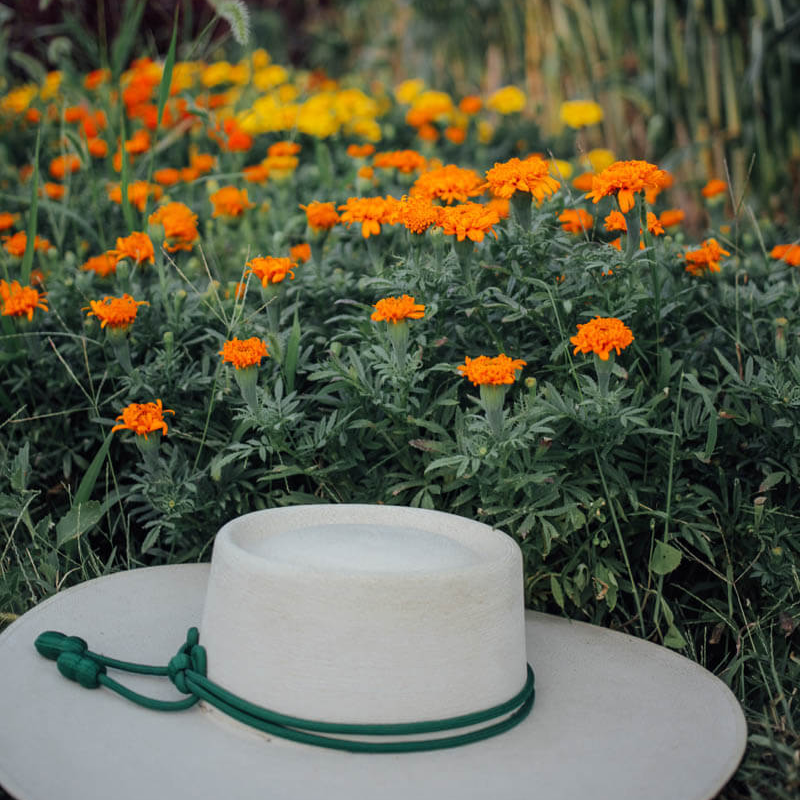 Marigold Spun Orange Seeds