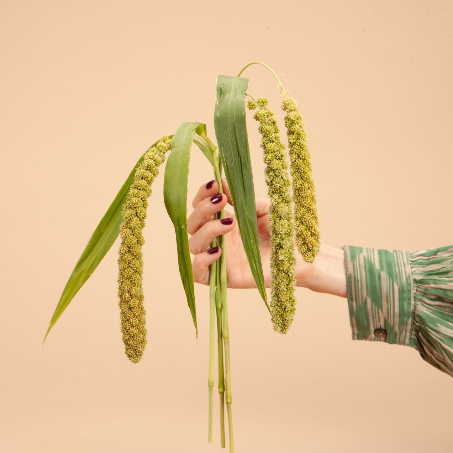 Grassy Mix Seed Bundle
