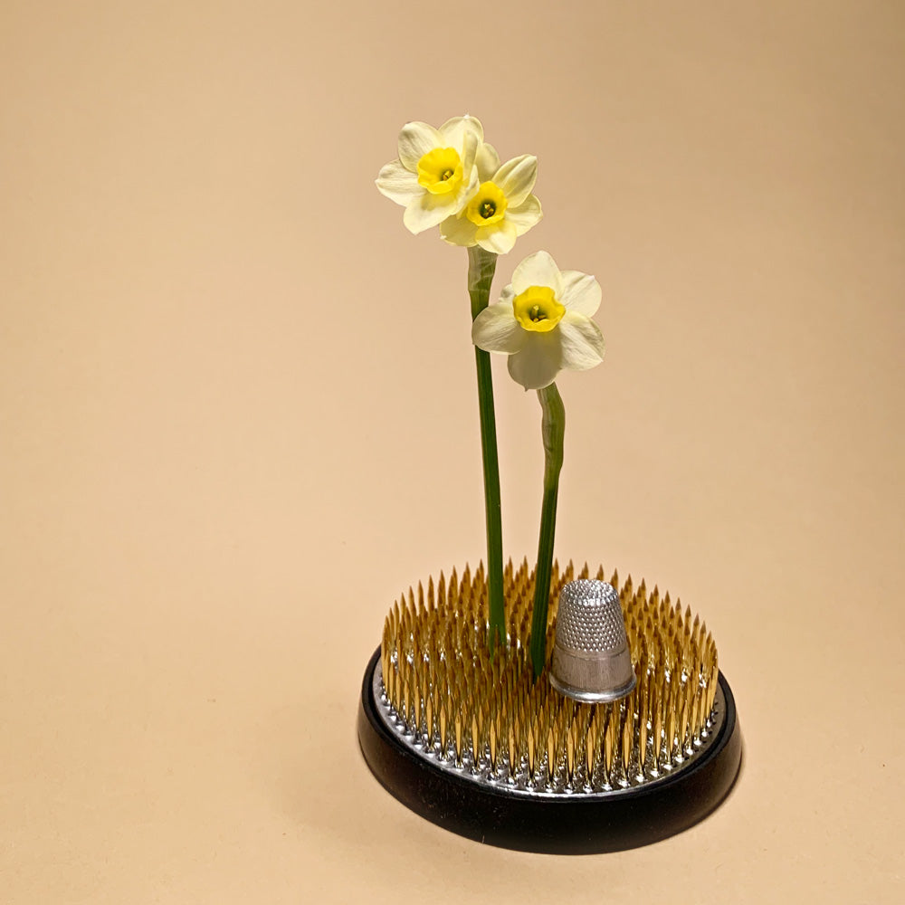 The Daffodil Convention