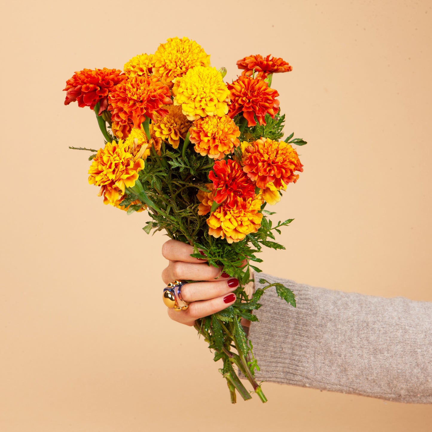 Collection Marigold Mix