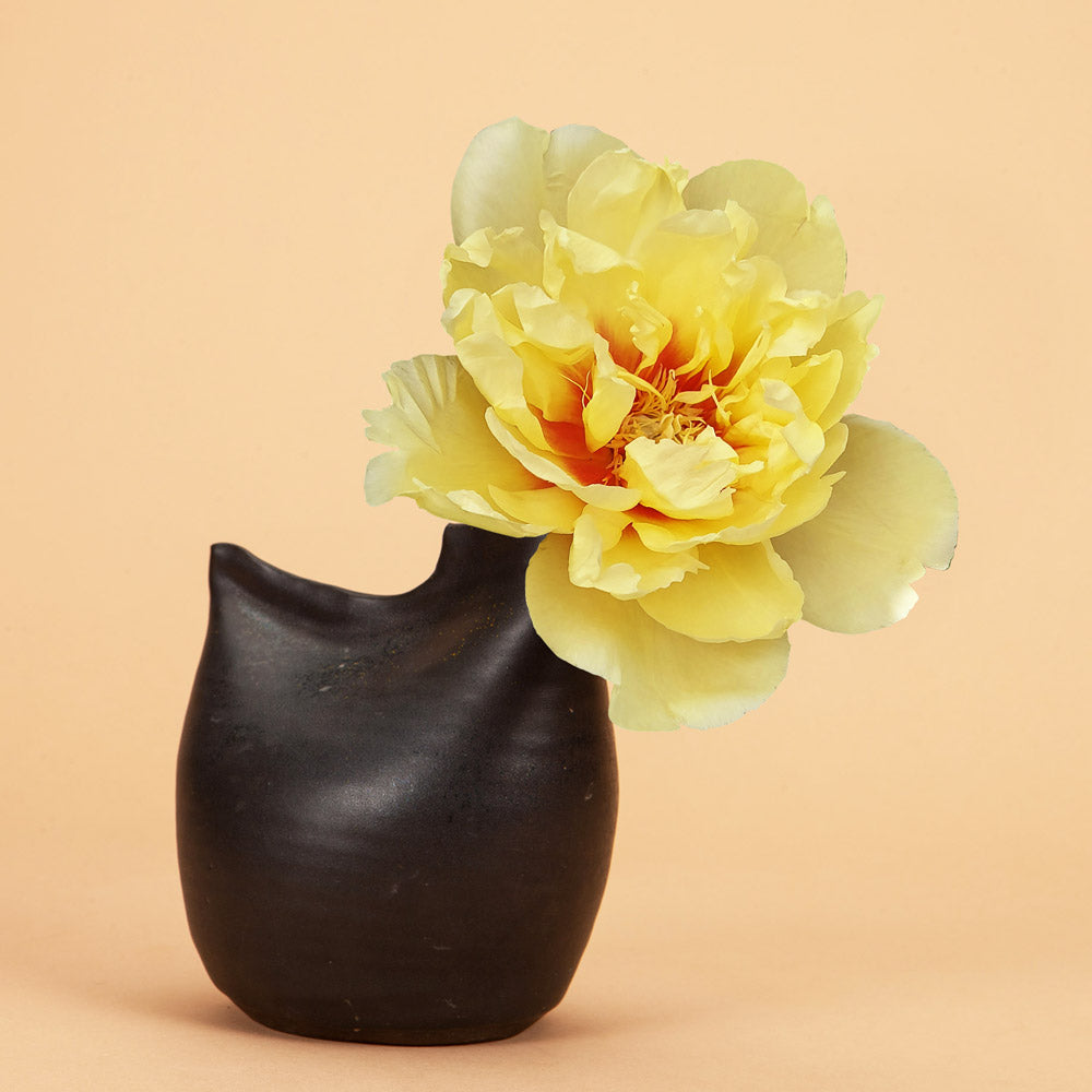 Peony Bartzella