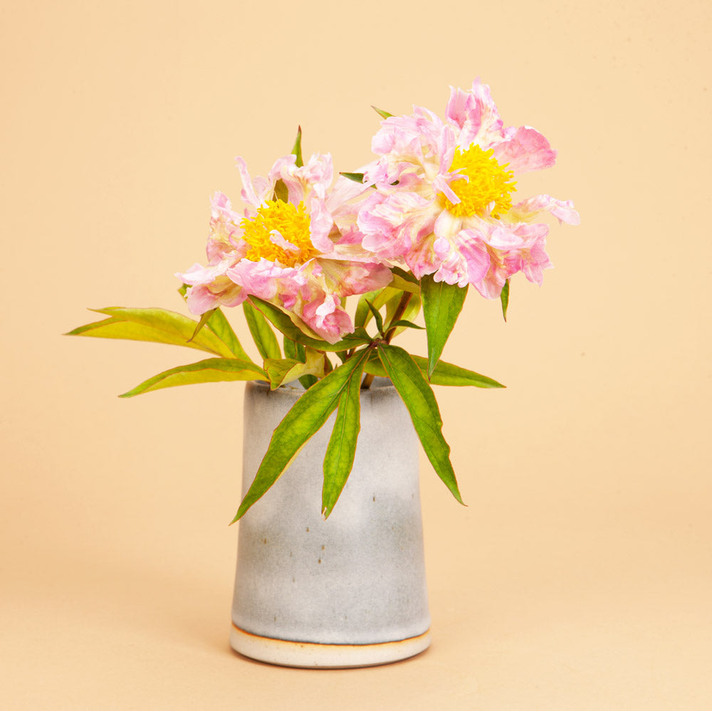 Peony Pink Spritzer