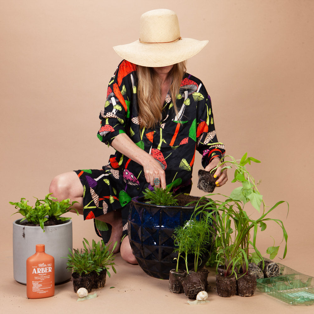 Moon Carrot Plants