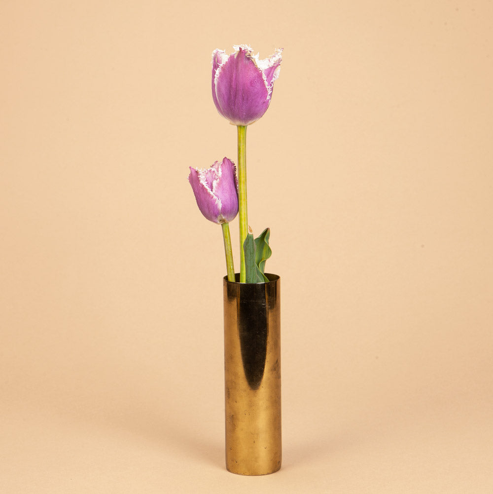 Cummins Tulip Bulbs