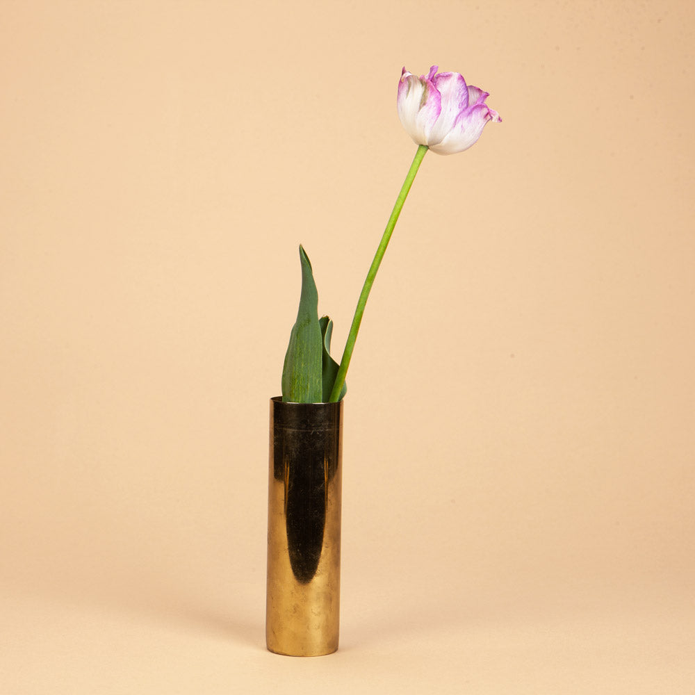 Tulip Shirley Double