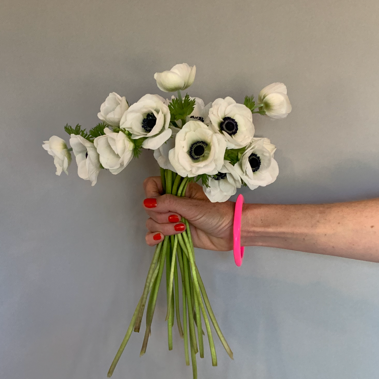 Anemone Marianne Panda White