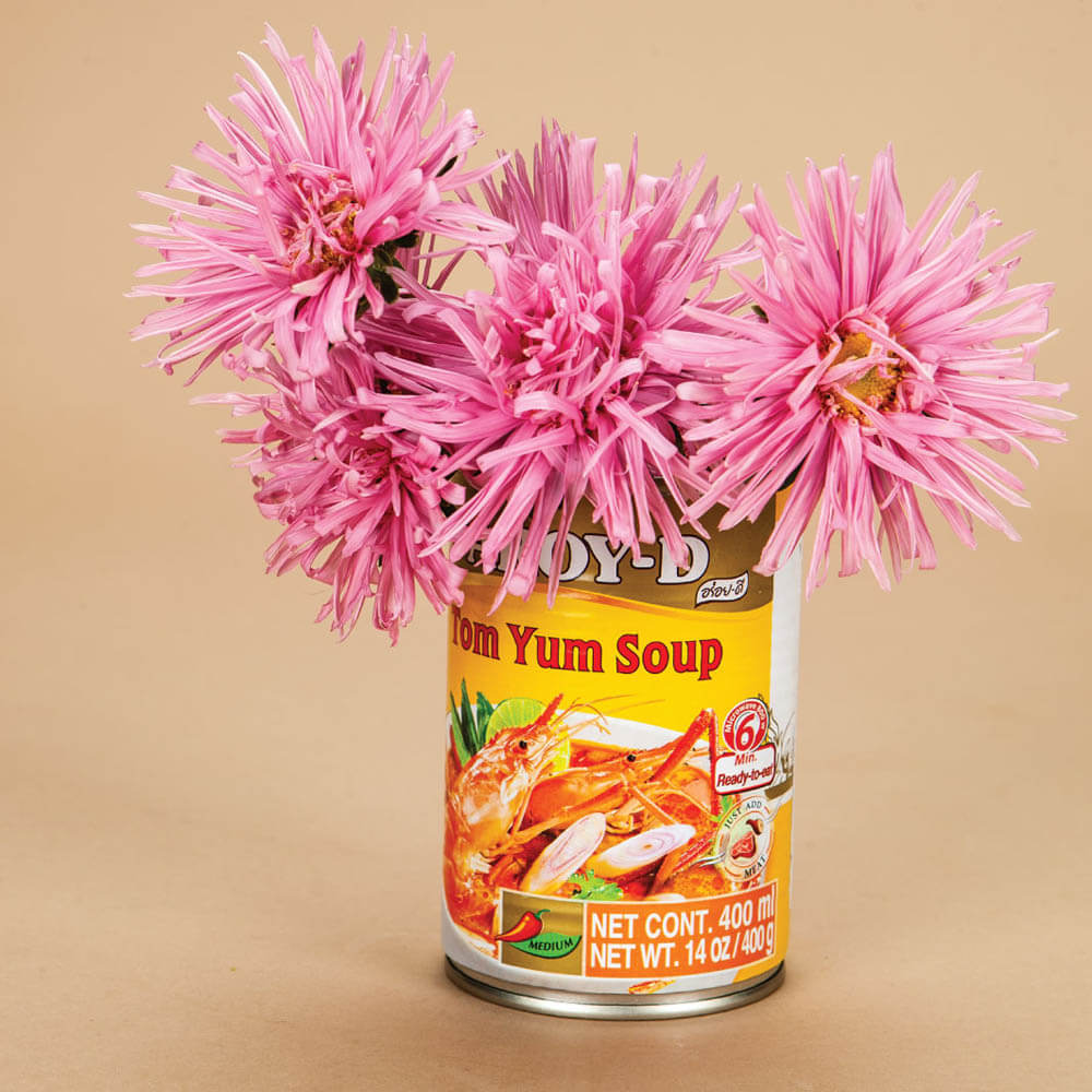 Aster Valkyrie Pink Seeds