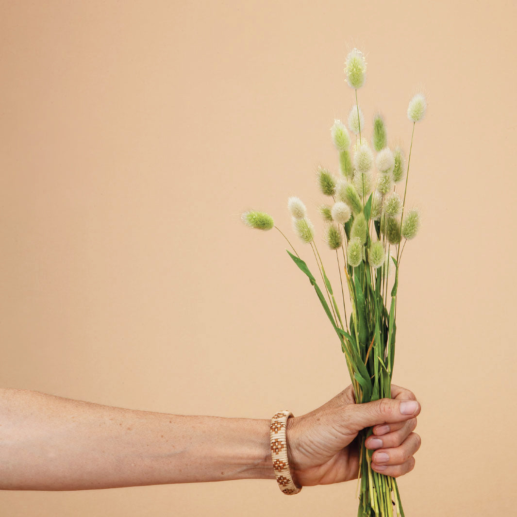 Bunny Tail Grass Plants