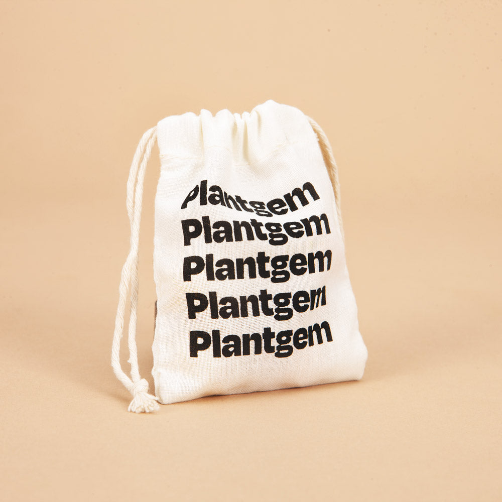 Marianne Panda White Anemone Corms