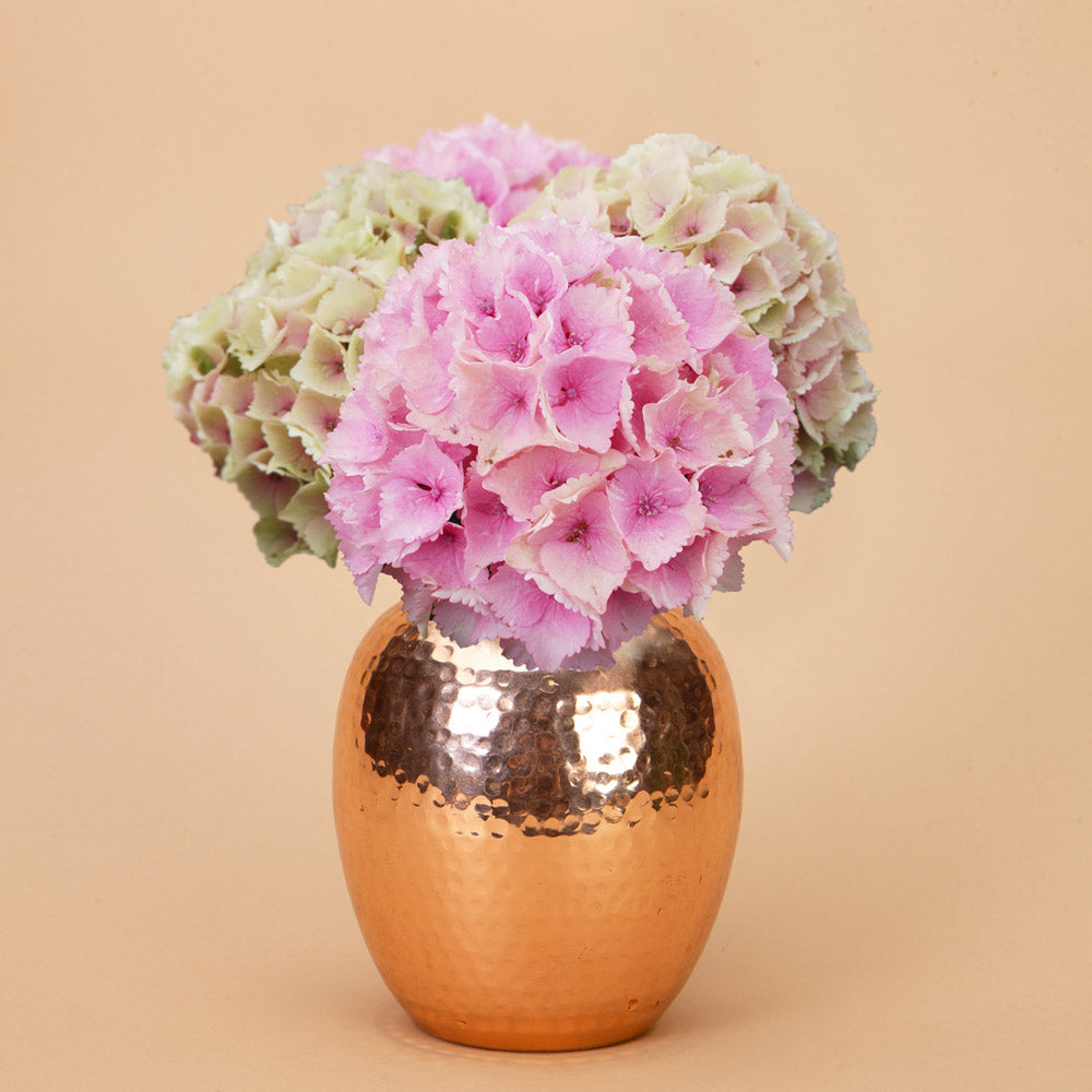 Hydrangea Everlasting Ocean