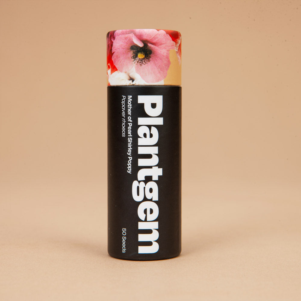 Shirley Poppy Mother Of Pearl Seeds