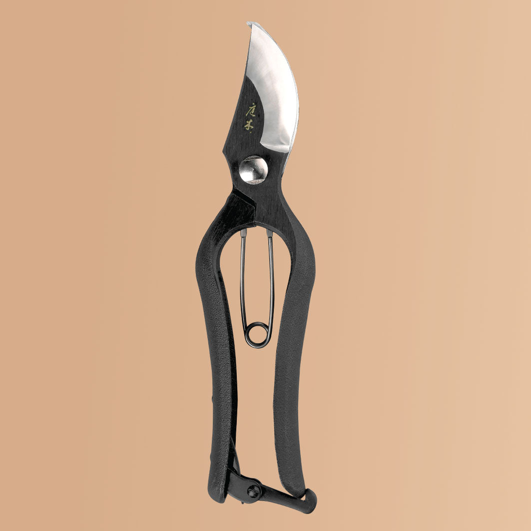 Secateurs