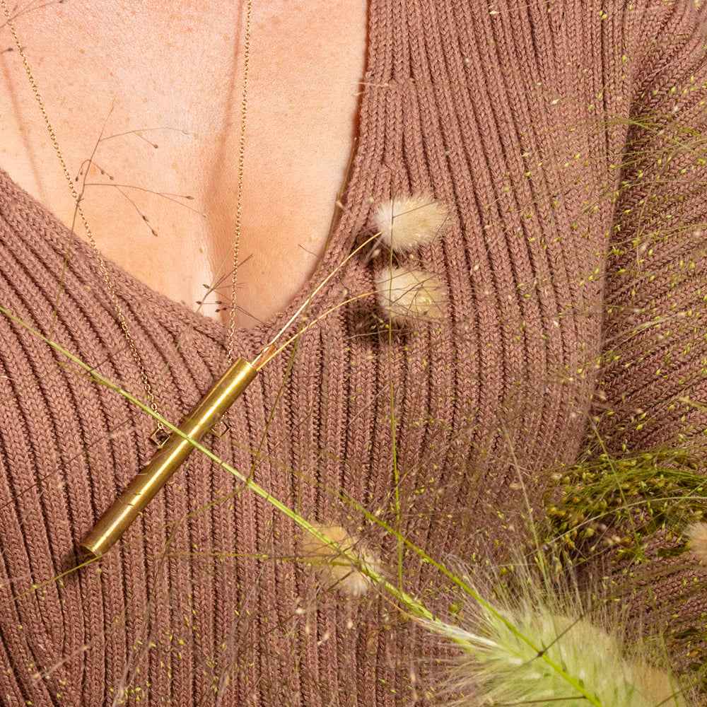 Bunny Tail Grass Plants