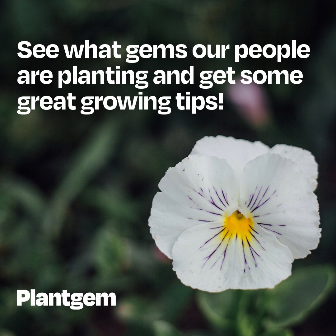 Some pro tips from our customers about what they love to grow and why