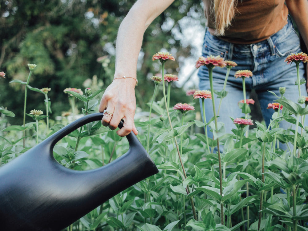 Watering deals plants tools