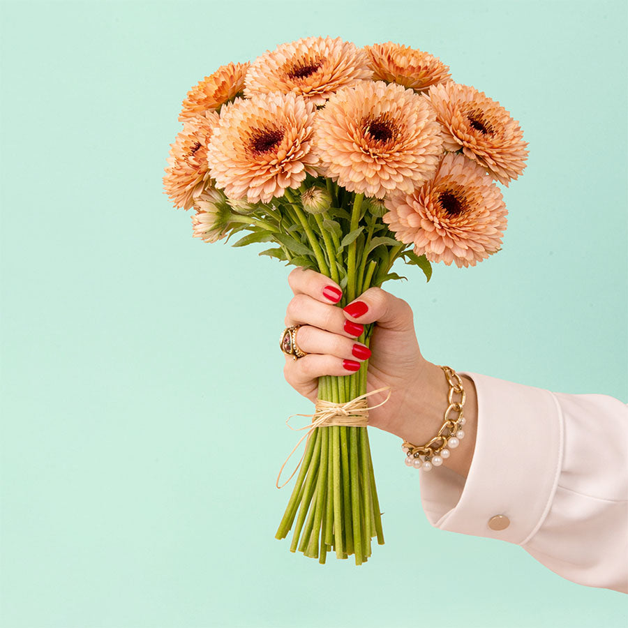 Touch of Red Mix Calendula Seeds