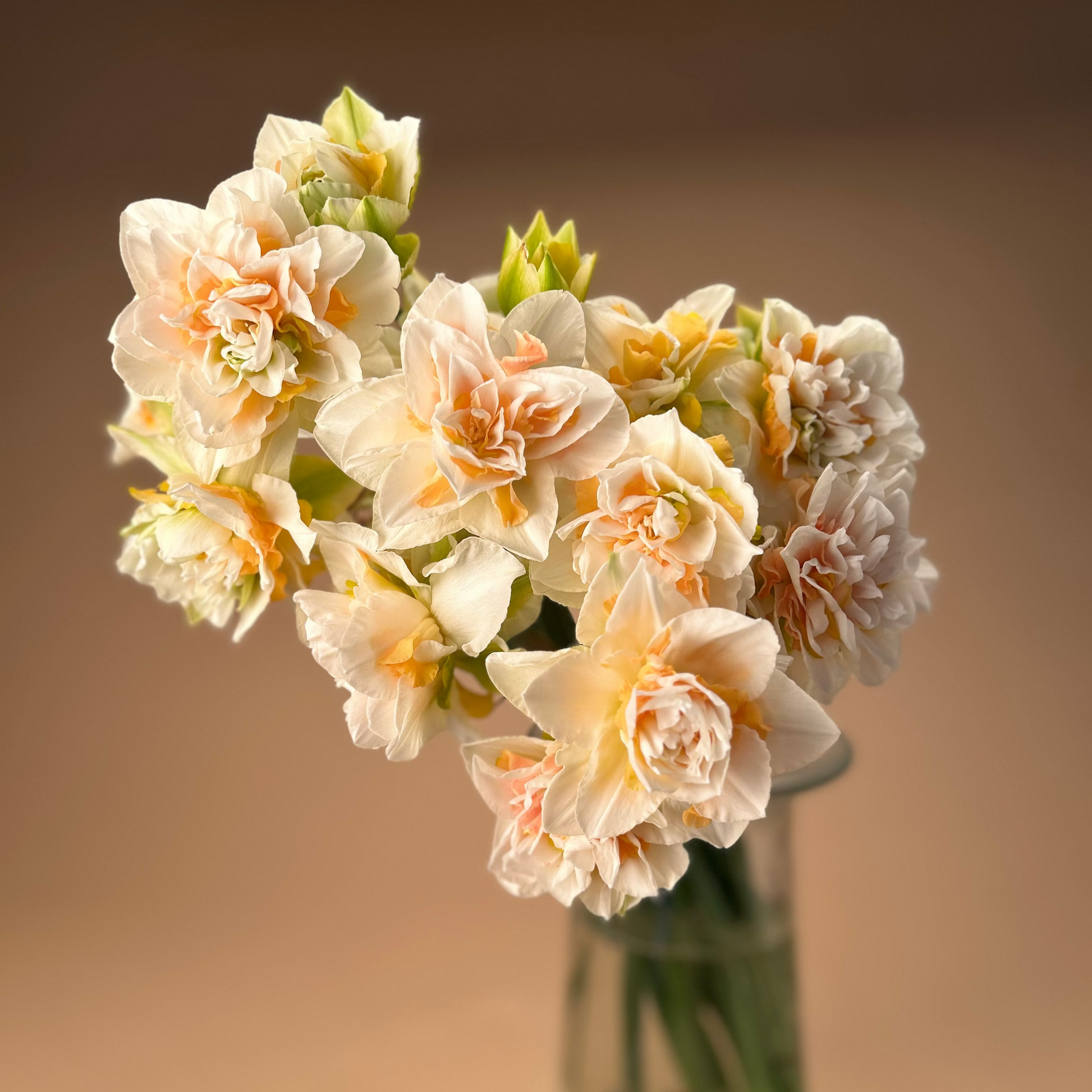 Bouquet of white and peach flowers in a clear vase on a brown background