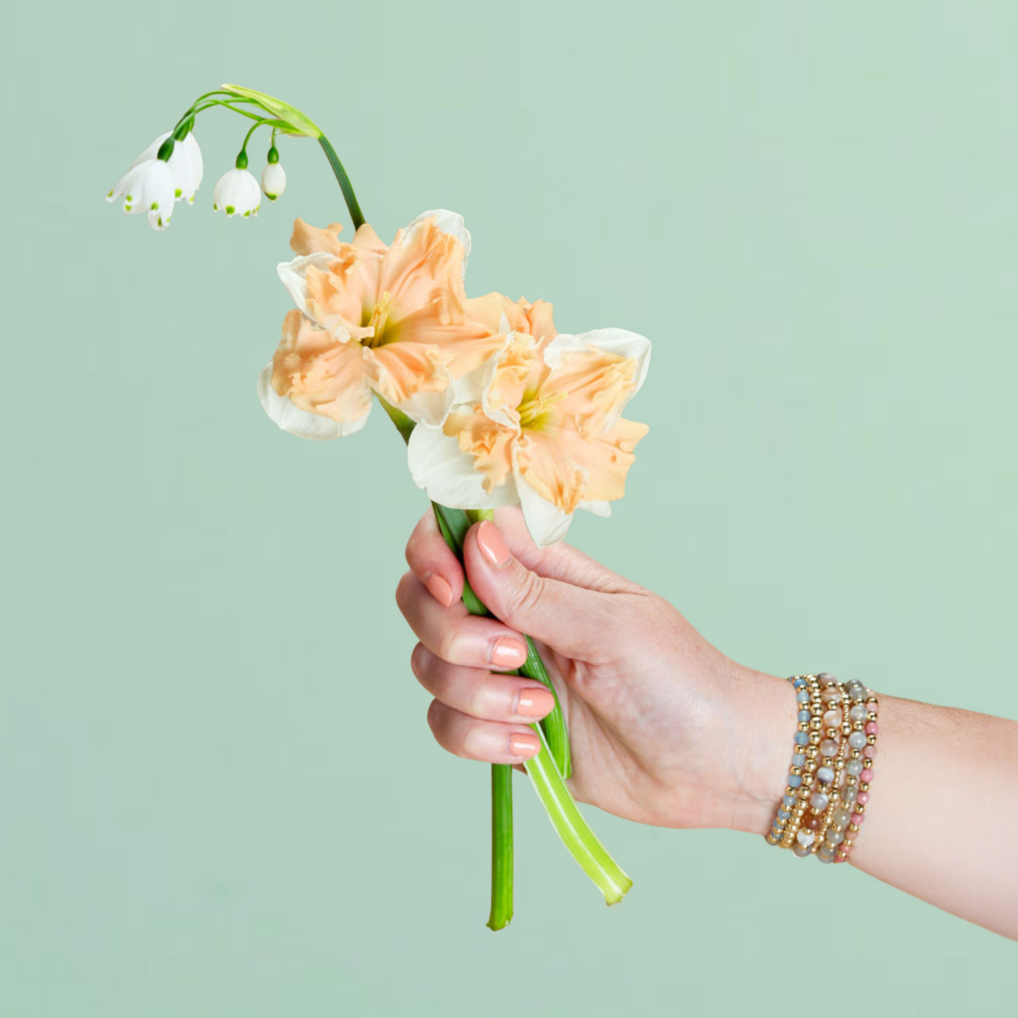 Apricot Whirl Daffodil Bulbs