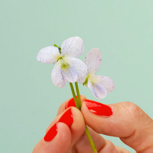 Freckles Viola Seeds