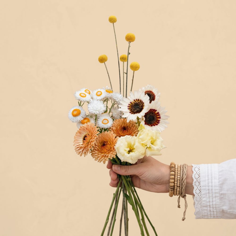 Main Character Energy: 15 Plants