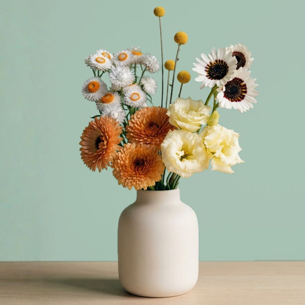 Main Character Energy: 15 Plants