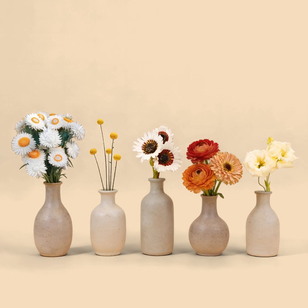 Main Character Energy: 15 Plants