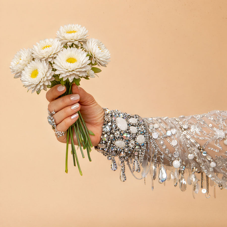 King Silvery White Strawflower Plants