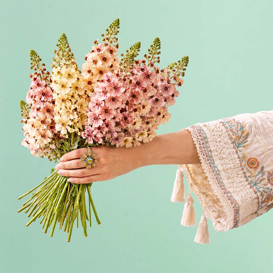 Perennial Garden Kit: 12 Plants