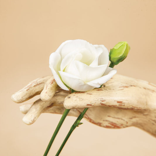 White Doublini Lisianthus Plants