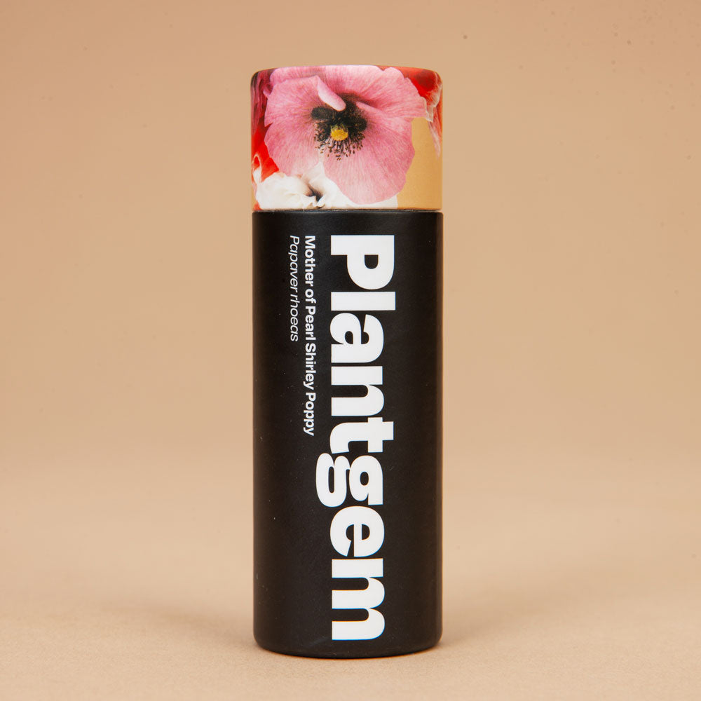 Mother Of Pearl Shirley Poppy Seeds
