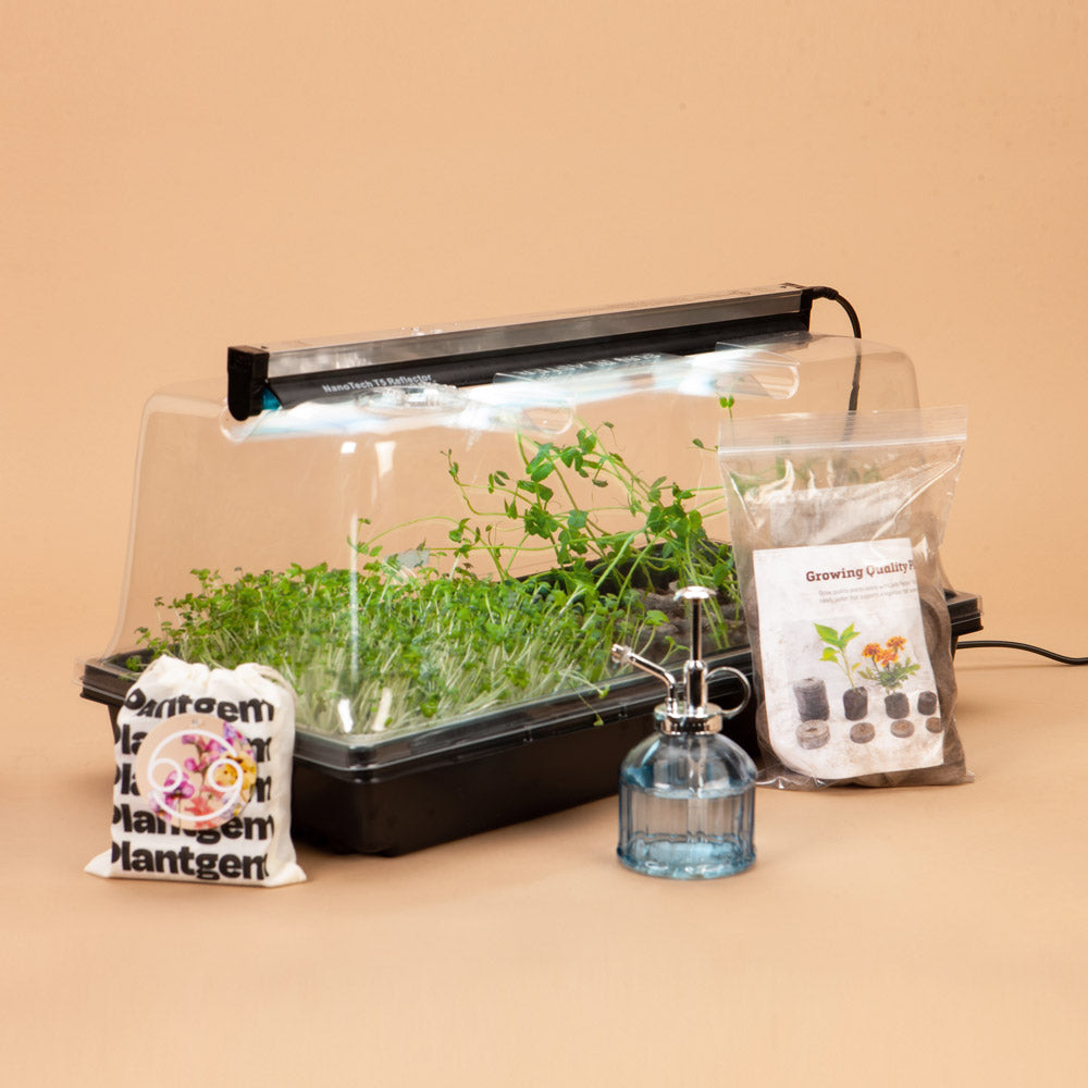 Plug-In Mini Greenhouse