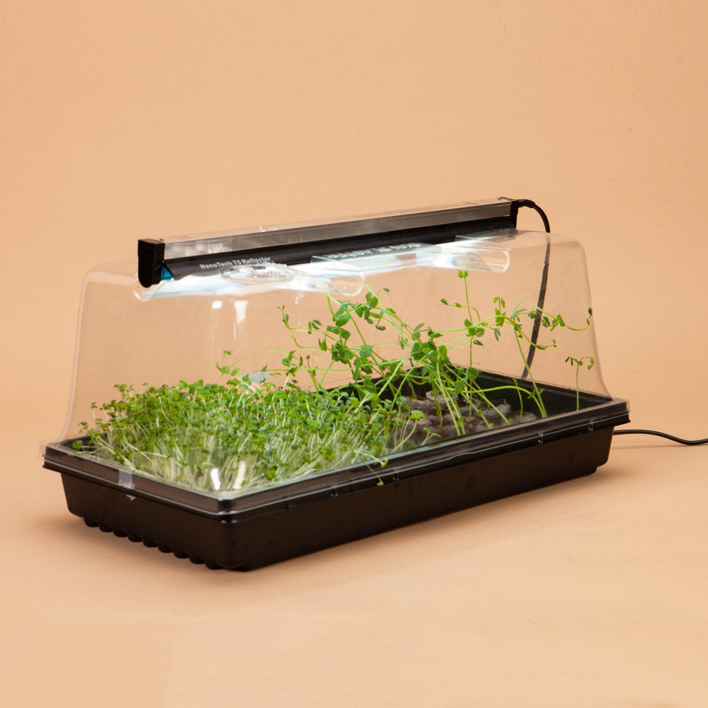 Plug-In Mini Greenhouse