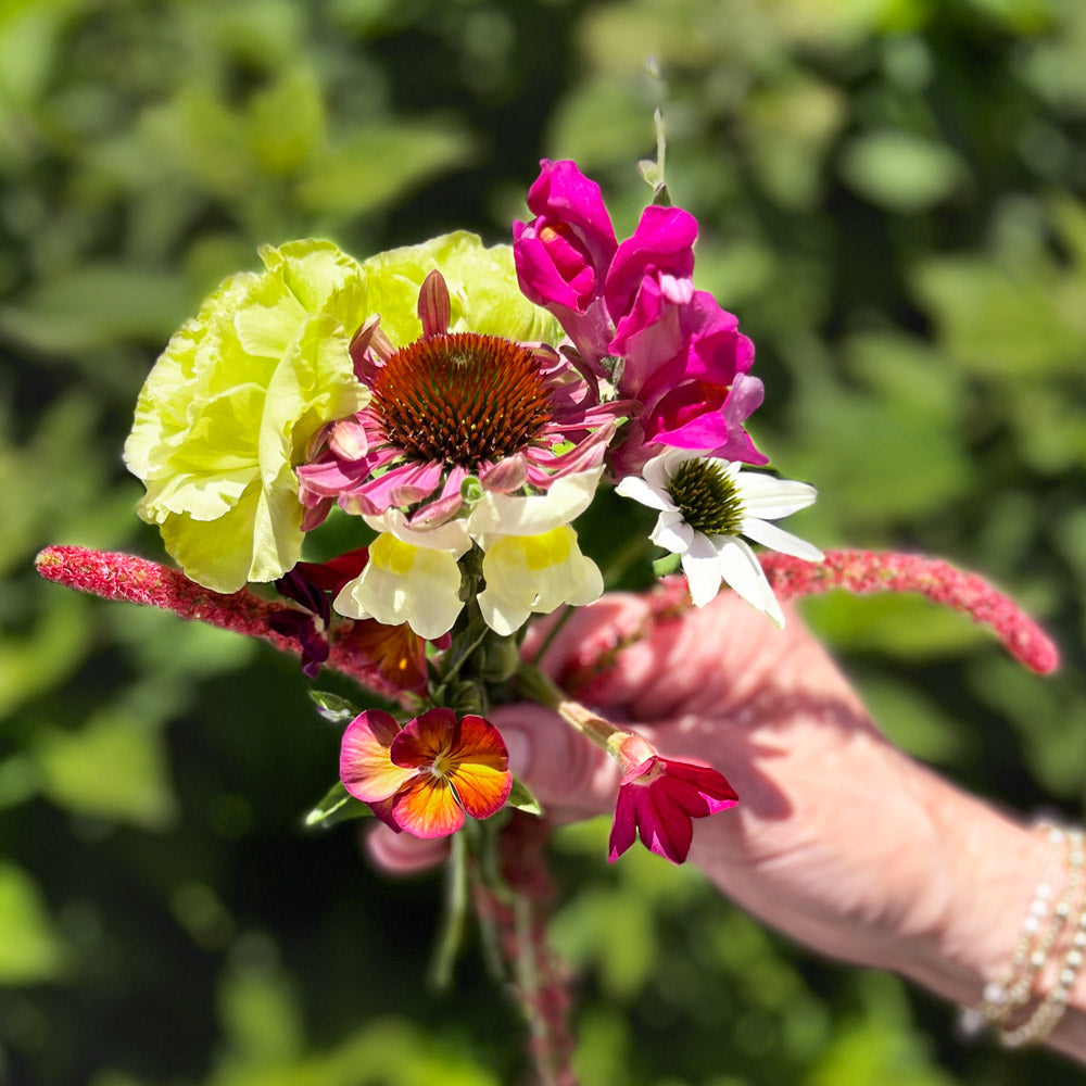 The Opal Capsule Garden: 30 Plants