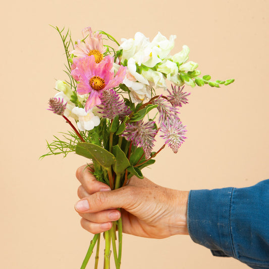 Pink Cutting Garden Kit: 12 Plants