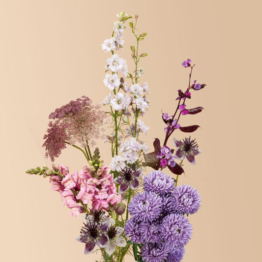 Purple Pollinator Seed Bundle