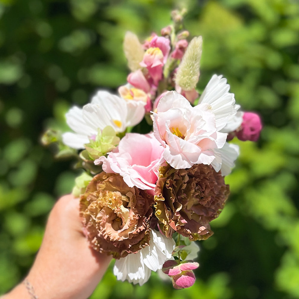 The Rose Quartz Capsule Garden: 18 Plants